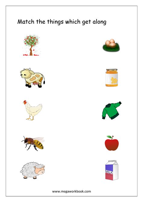 Farm Animals And Their Products Chart Mywinsofbooks
