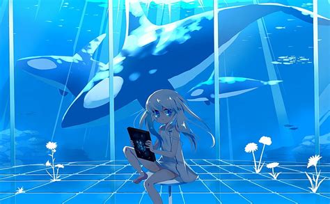 Online Crop Hd Wallpaper Anime Girls Killer Nature Orca Water