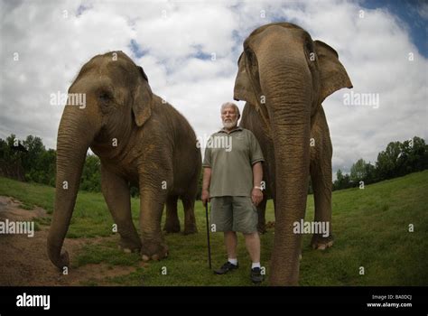 Riddles Elephant And Wildlife Sanctuary In Greenbrier Arkansas Stock