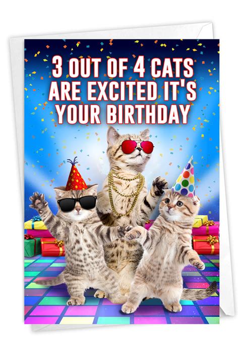 Funny Birthday Card With Envelope Cat Card Bday Humor C3525bdg