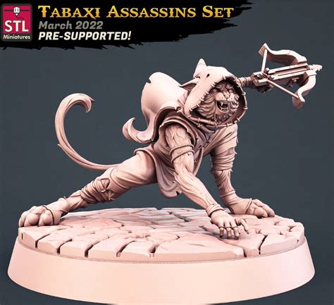 Assassin Miniature Tabaxi Rogue Etsy