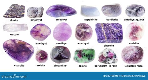 Set Of Various Tumbled Purple Stones With Names Stock Photo Image Of