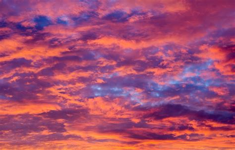 Wallpaper The Sky Clouds Sunset Background Pink