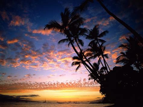 Free Download Hawaii Beach Sunset Wallpaper 1024 X 768 Wallpaper