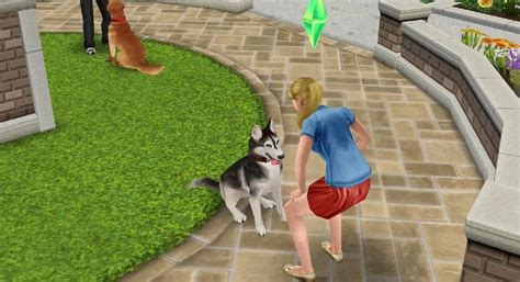 The Sims Freeplay Pet Paradise Update Coming Soon Gamezone