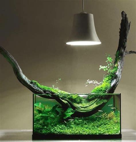 Artificial and natural decorations aquarium decorations reviewed. unique-small-aquarium-decor-ideas - HomeMydesign
