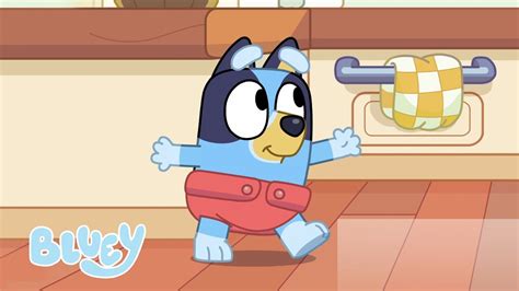 Bluey Puppies Bluey Youtube