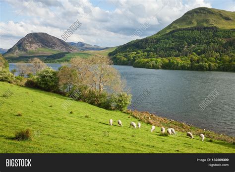 Spring Landscape Lake District Image And Photo Bigstock