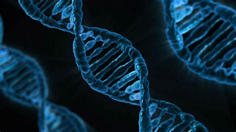 The Most Complete Human Genome Ever Assembled With A Single Technology