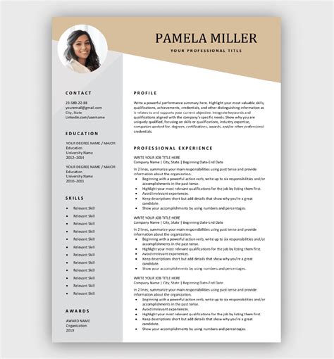 Professional Resume Template For Word Diy Printable Modern And