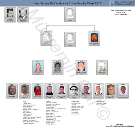 Up To Date Cosa Nostra Lcn Charts Bonanno Colombo Gambino Genovese