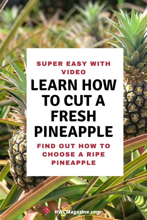 How To Cut A Fresh Pineapple Healthy World Cuisine