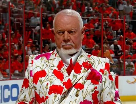 Don Cherry Fired From Hockey Night In Canada Insauga