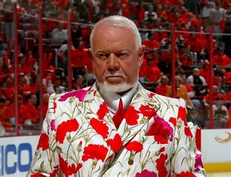 don cherry fired from hockey night in canada insauga