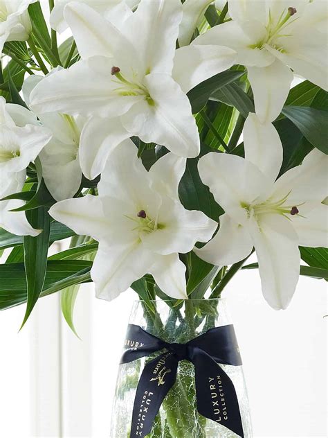 Luxury White Oriental Lily Vase Flowers Studio