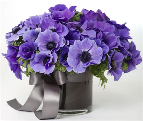 Photos Bouquets Violet Flowers Vase Anemones White Background