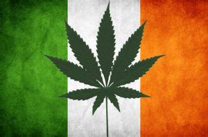 Please visit our store for professional advice & products. LondonWeed.Net - Top London & UK & Ireland & Scotland & Wales Weed From Spain to your Home Fast ...