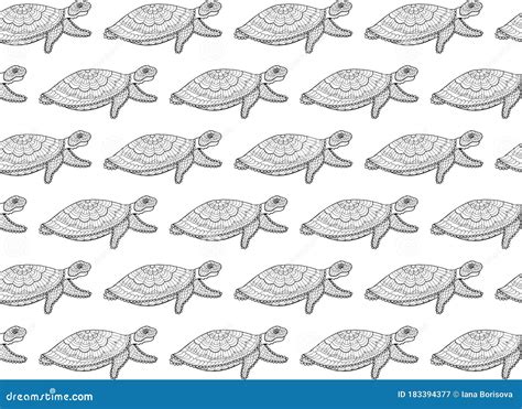 Seamless Pattern Of Ornamental Sea Turtles In Zentangle Style On A