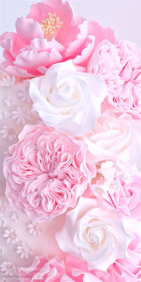 image découverte par 𝐆𝐄𝐘𝐀 𝐒𝐇𝐕𝐄𝐂𝐎𝐕𝐀 👣 découvrez et enregistrez vos image… pink flowers