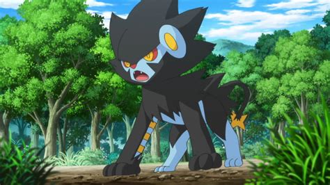 Clemont Anime Pokémon Wiki Fandom Powered By Wikia