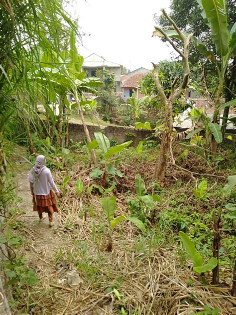 Penampakan rumah di tengah jalan raya di batuceper, menjorok 6 meter ke jalan. Dijual Cepat Lahan pinggir jalan raya di Desa Sukamakmur ...