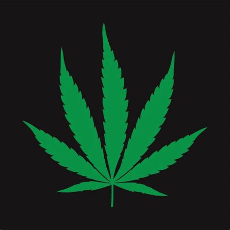 Best Cannabis Sativa Illustrations Royalty Free Vector Graphics And Clip