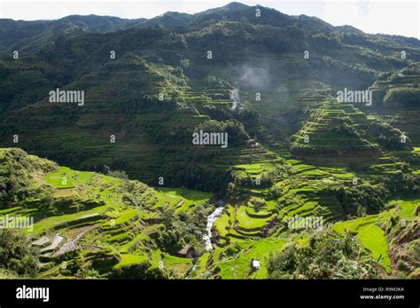 Banaue Rice Terraces Ifugao Province Cordillera Region Luzon