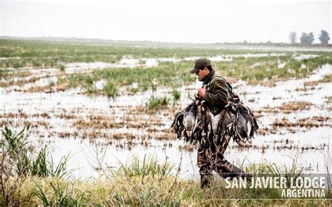 Duck Hunting San Javier Lodge Argentina Duck Hunting Waterfowl