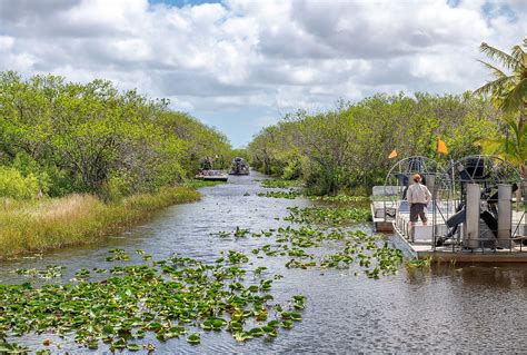 10 Best Ways To Experience The Florida Everglades Worldatlas