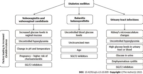 Growing Importance Of Urogenital Candidiasis In Individuals With Diabetes A Narrative Review