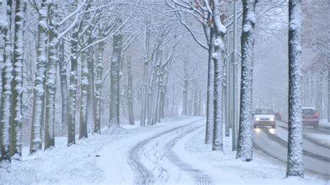 Het diverse toepassingen zoals het houden van sieraden kan dienen of kan worden gebruikt voor het houden van een kleine bloemboeket. Foto's: De eerste sneeuw van 2017 | RTL Nieuws