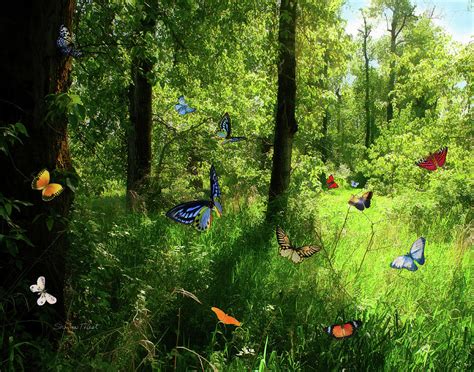 Fantasy Forest Butterflies Digital Art By Sherrie Triest Pixels