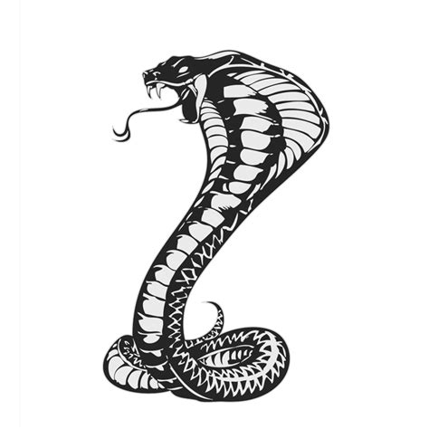 Download Cobras King Cobra Snakes Tattoo Snake Drawing HQ PNG Image | FreePNGImg