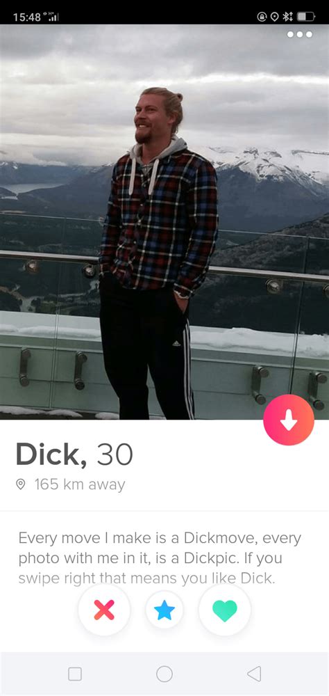 Found It The Absolute Best Tinder Profile Ever Tinder