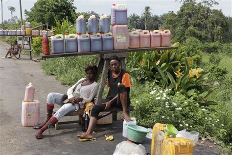 Industrial Palm Oil In Congo Basin Are Countries Ready — Earth