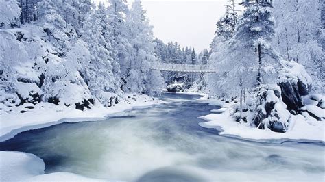 Free Download Beautiful Winter Weather Winters Beauty Pinterest