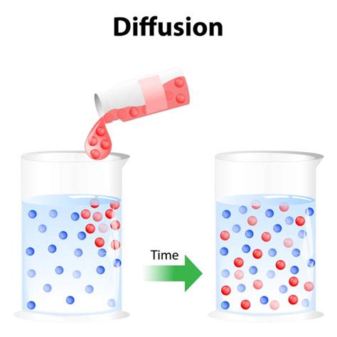 Similarities and differences between osmosis and diffusion process of membrane transport in cells with a comparison table. Osmosis Vs. Diffusion: How are They Different From Each Other?