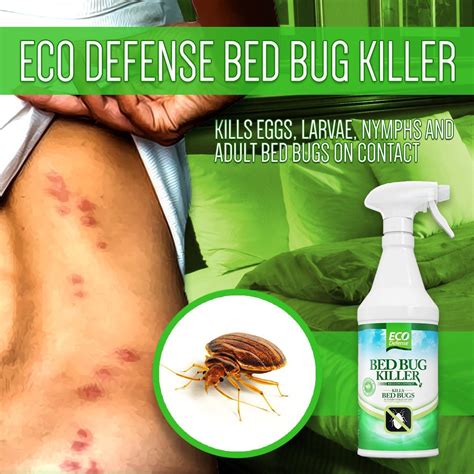 Eco Defense Bed Bug Killer Natural Organic Formula Fastest 16 Oz