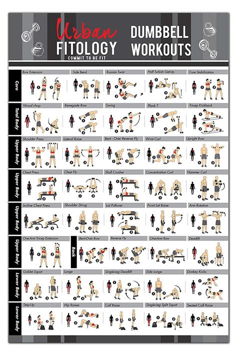 Buy Dumbbell Exercises Workout Poster Now Laminated