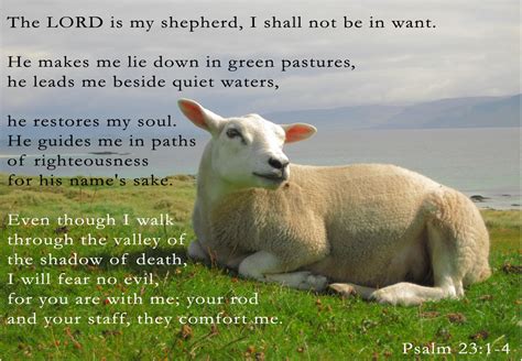 Psalm 23 Lord Is My Shepherd