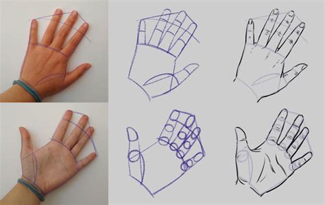 How To Draw Hands Step By Step Tutorial For Beginners Hand Drawing Riset