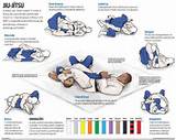 Pictures of Brazilian Jiu Jitsu Moves