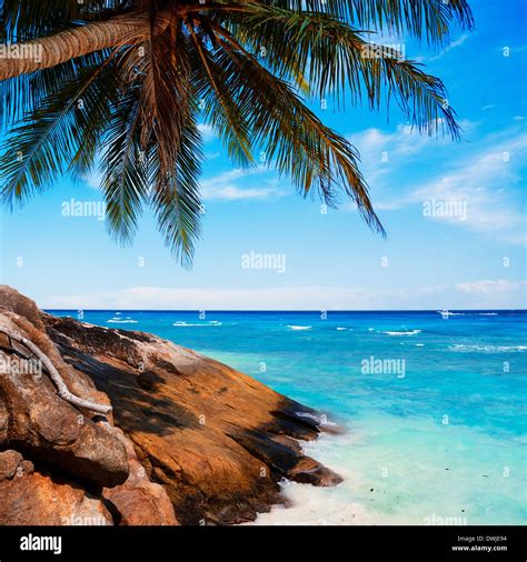 Exotic Tropical Beach Stock Photo Alamy