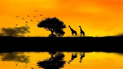 African Sunrise Wallpapers Top Free African Sunrise Backgrounds