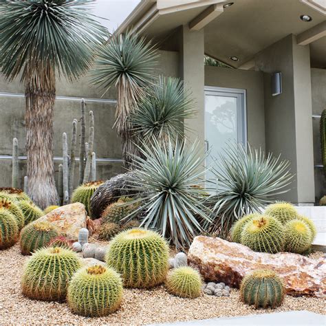 43 Cactus Landscaping Ideas Garden Design