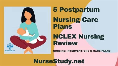 Postpartum Nursing Diagnosis And Nursing Care Plans Nursestudynet