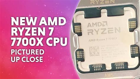 New Amd Ryzen 7 7700x Cpu Is Pictured Within The Flesh Best Health