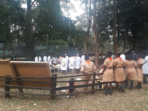Annual Agricultural Show Nairobi World Scouting