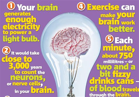 The Brain Science Primary Resource National Geographic Kids