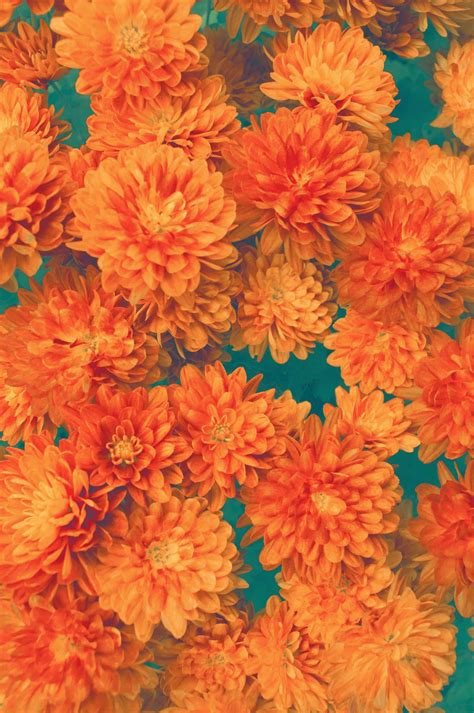 Vintage Patterns : Photo | Orange wallpaper, Orange aesthetic, Flower